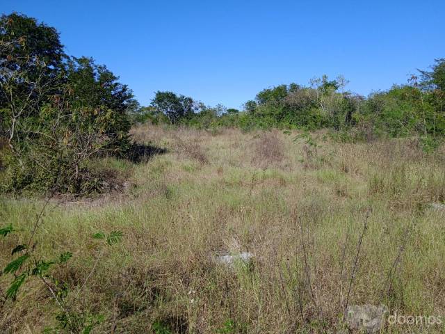 En Venta Terreno con Cenote Yaxcopoil