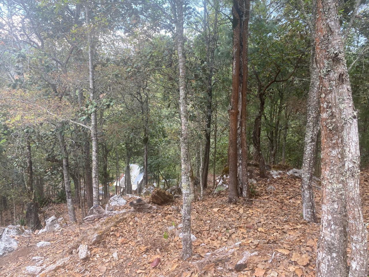 Terreno en San Cristóbal de las Casas, Chiapas.