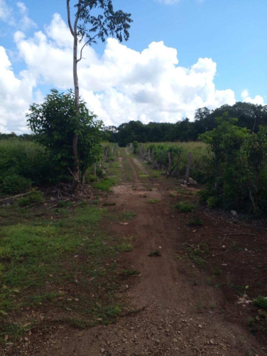 Ranch close to  Merida with cenote private property