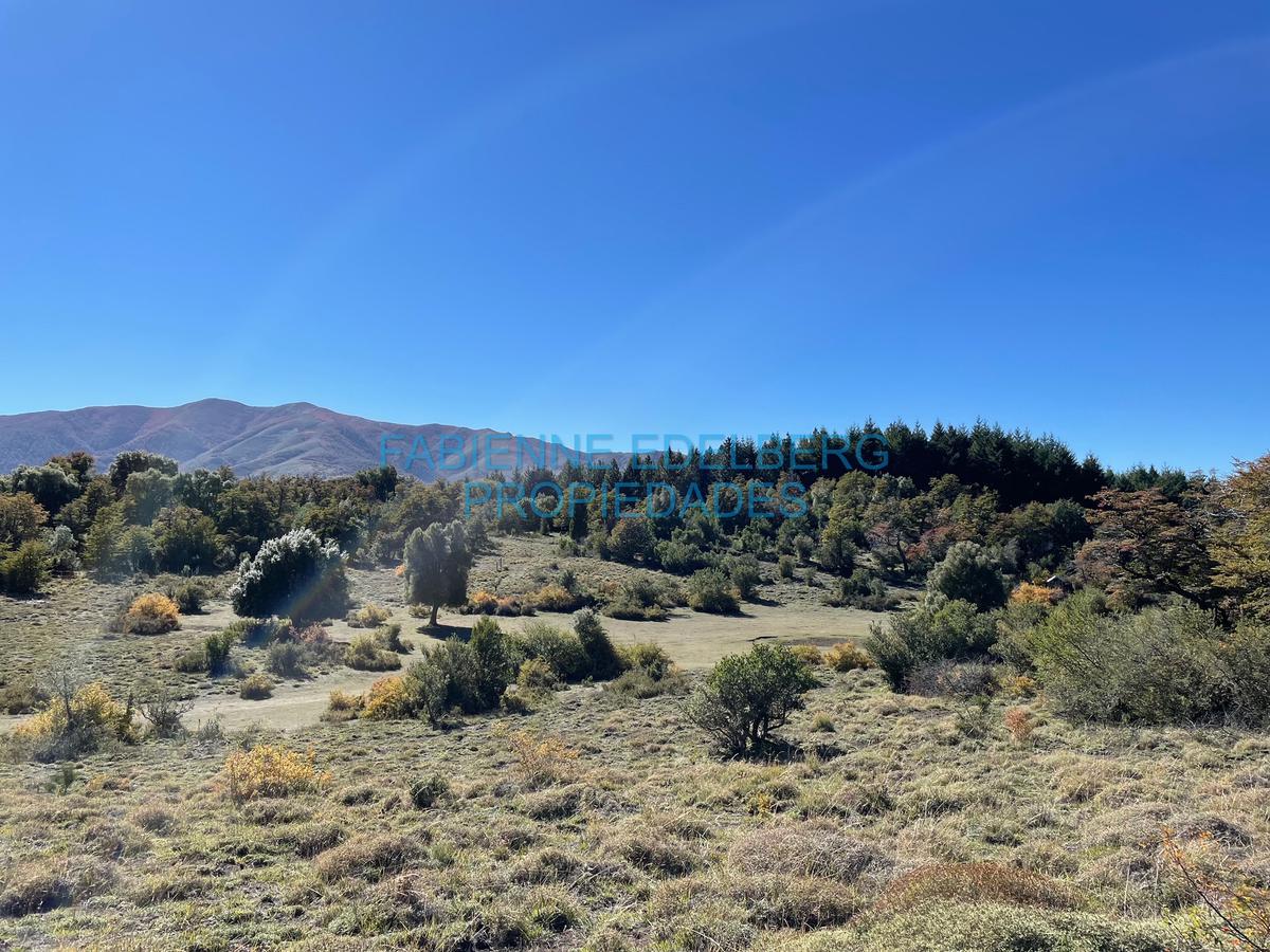 Terreno en Caleuche Mza 122 lotes 1200 m2 - San Martin De Los Andes