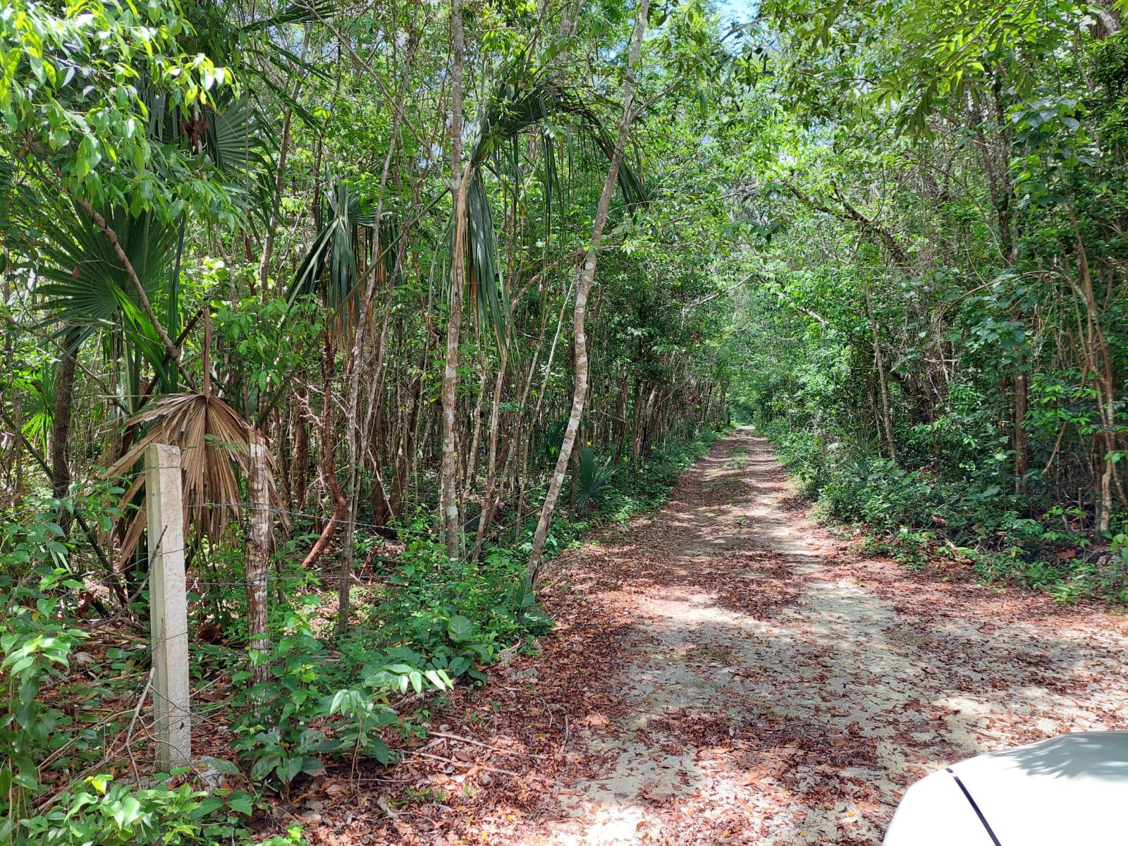 Terreno en  venta ruta de los cenotes, Ejido Puerto Morelos