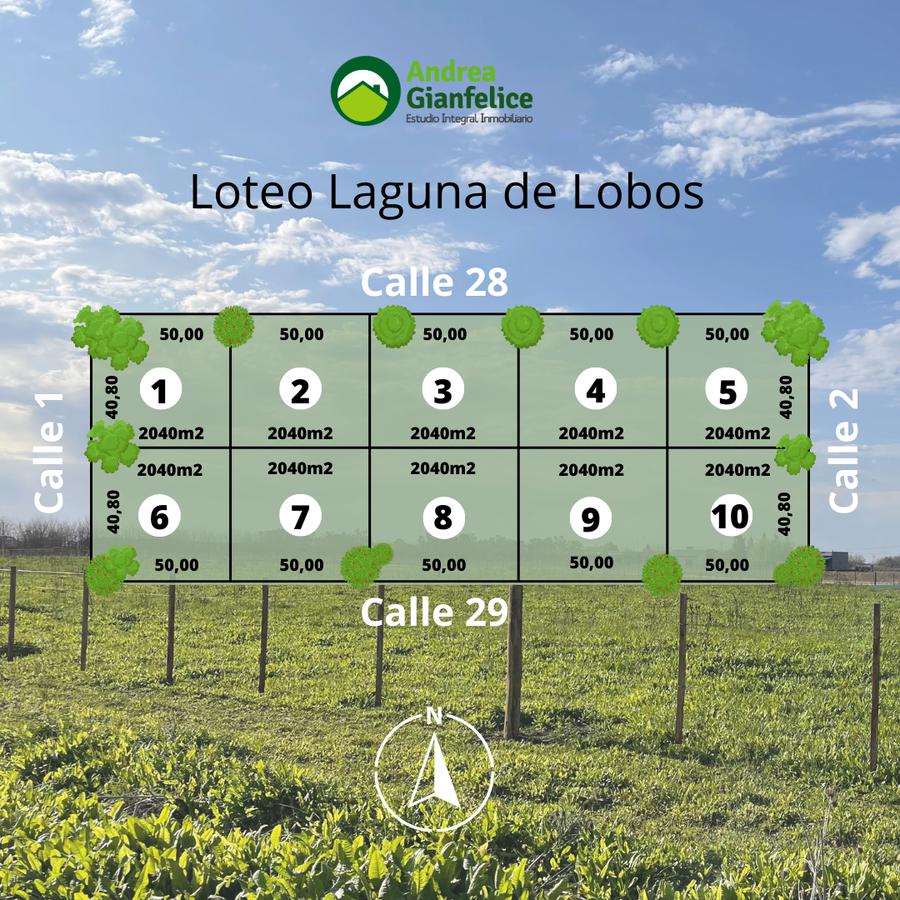 Loteo Laguna de Lobos, lotes de 2040m2