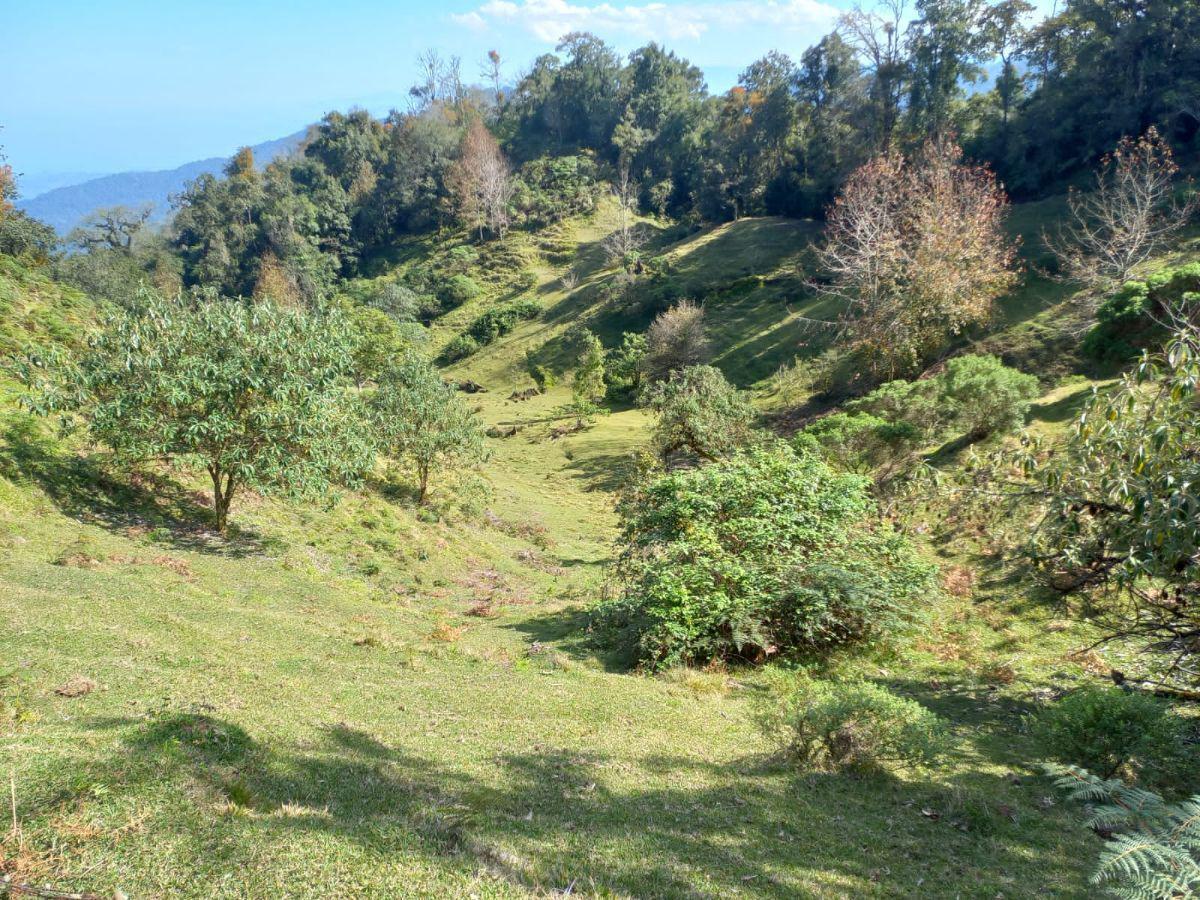 Terreno en venta en la zona de Teziutlán Hueytamalco