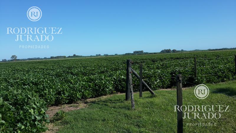 Venta de 22 hectáreas - San Antonio De Areco a 10km del pueblo y 100km de CABA