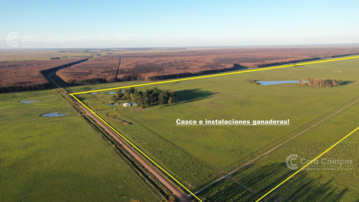 Se Vende Campo Foresto-ganadero  de 885 ha en Paraje Galarza. Iberá. Corrientes