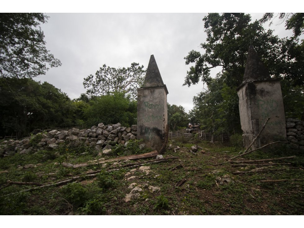 Rancho en venta de 121 hectáreas en Uayma Yucatán