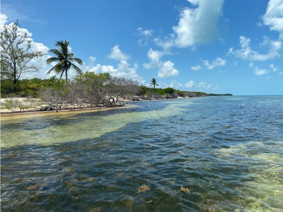 Venta isla blanca Qroo 46 hectáreas con 2000 ml de playa